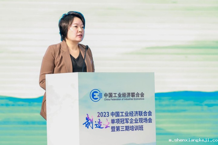 图为工业和信息化部产业政策与法规司产业组织处副处长赵雪阳作政